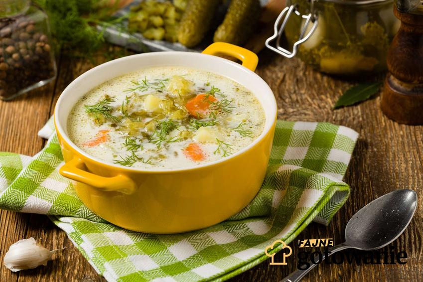 Zupa ogórkowa bez mięsa podana z warzywami.